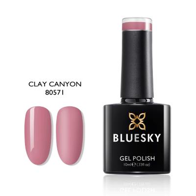 Pink Gel Polish: The Best 40 colors from Trusted Brands 39 bluesky clay canyon pink gel polish https://nailhow.com/pink-gel-polish/